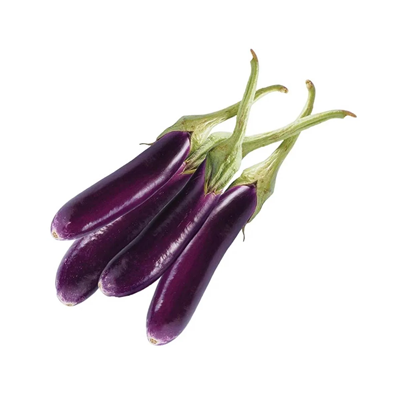 Long Purple Brinjal - बैंगन
