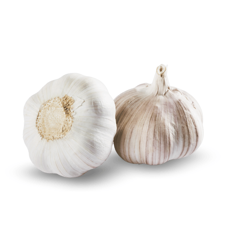Hybrid (Mota) Garlic - हाइब्रिड (मोटा)   लहसुन