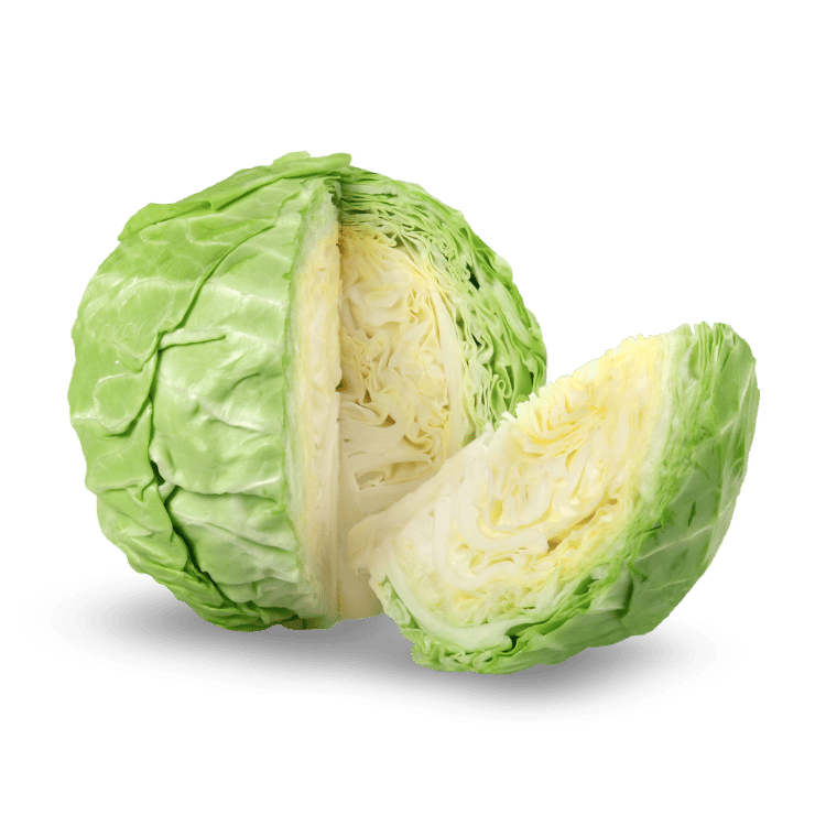 Cabbage - पत्ता गोभी