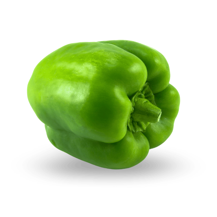 Capsicum - शिमला मिर्च