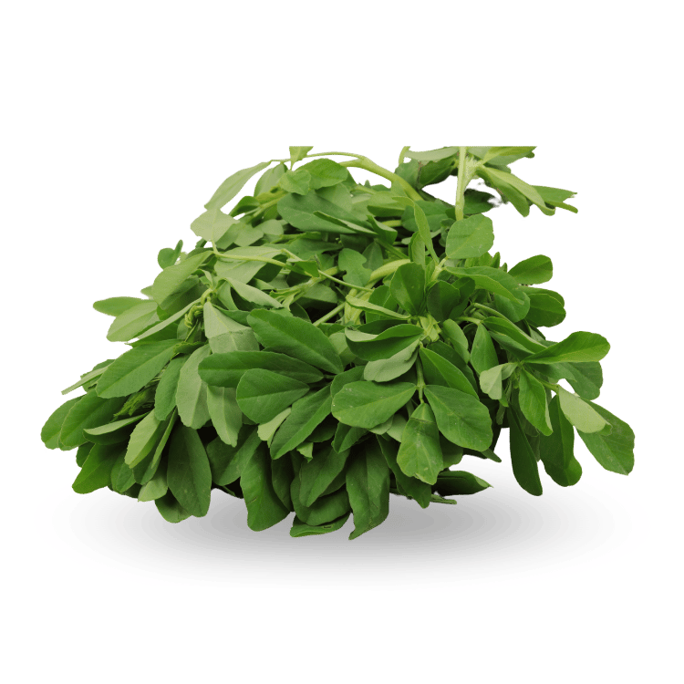 Fenugreek Leaves  - मेथी