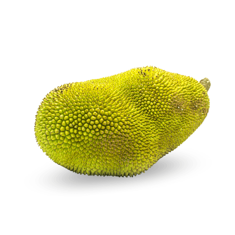 Jackfruit  - कटहल