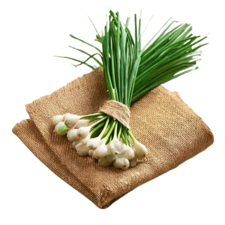 Green Onion - हरा  प्याज