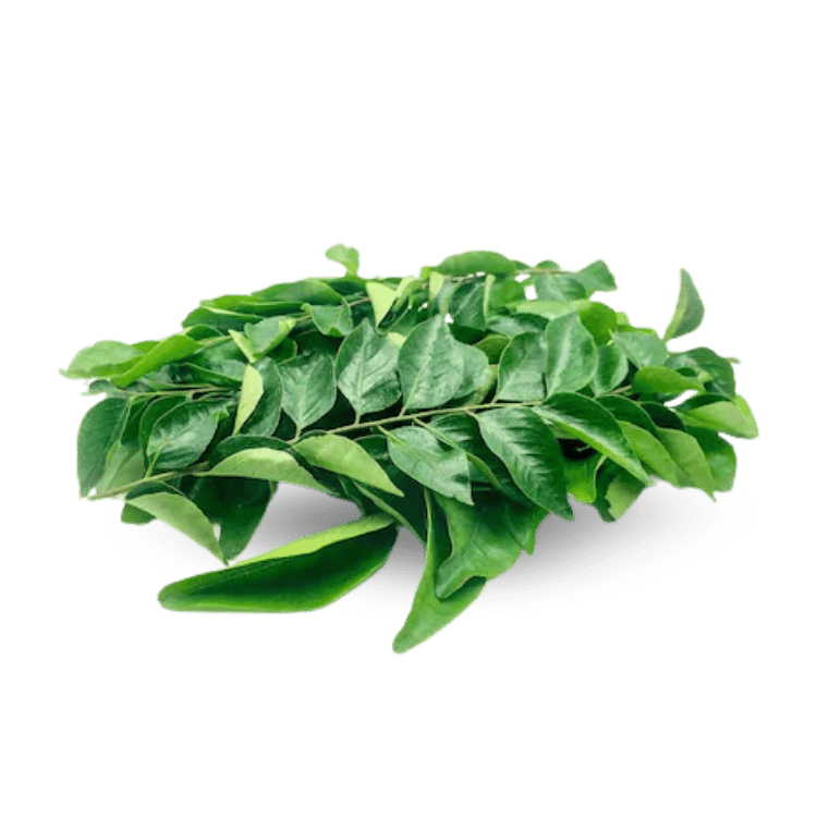 Curry Leaves - कड़ी पत्ता