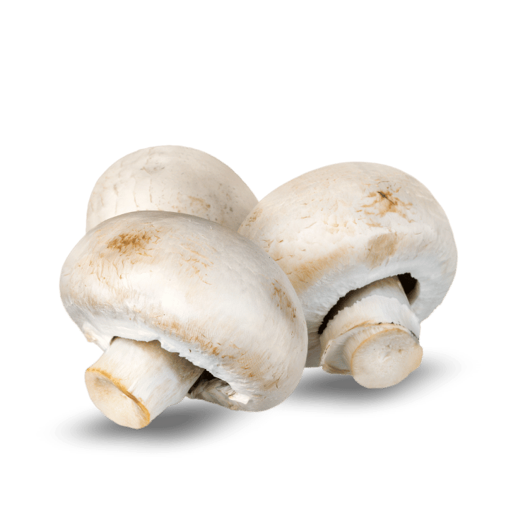 Mushroom - मशरूम