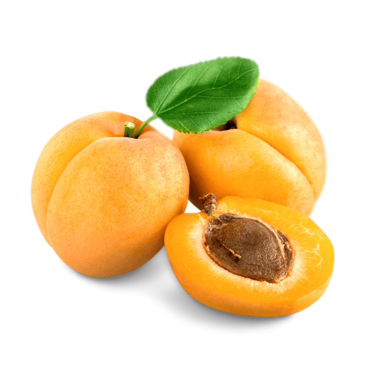Apricot - खुबानी