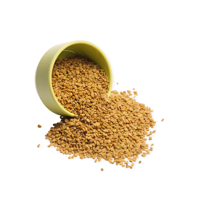 Fenugreek Seeds(Methi)