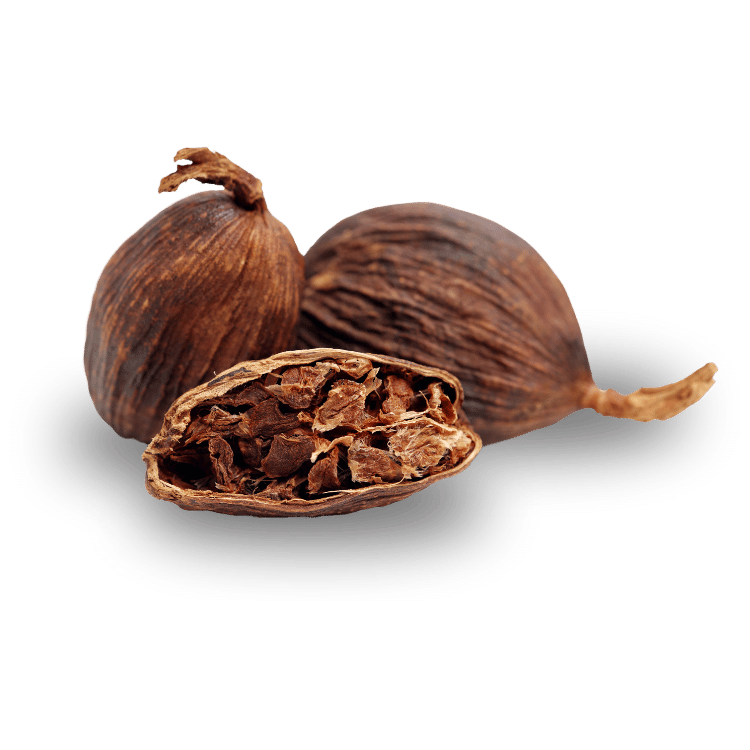 Cardamom (Black)