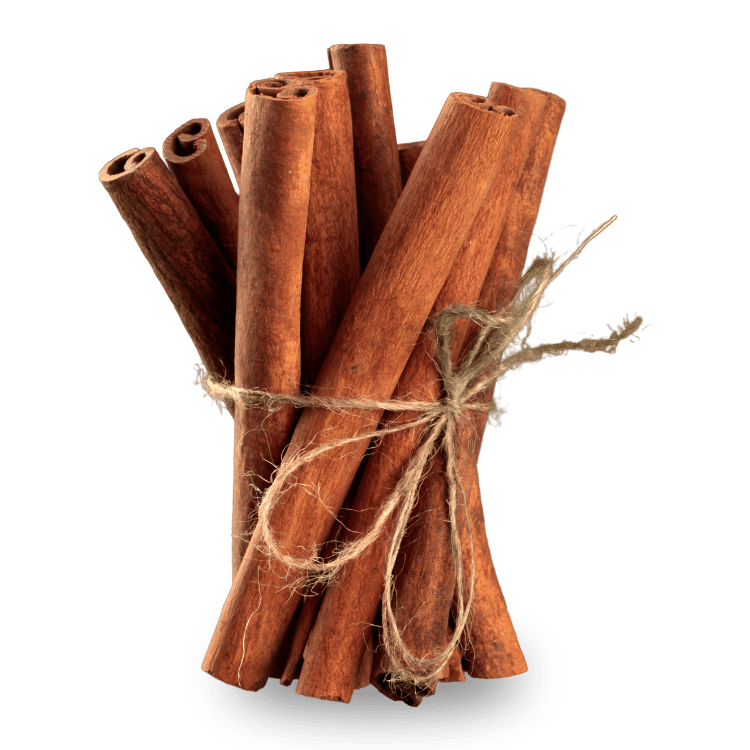 Cinnamon (दालचीनी)