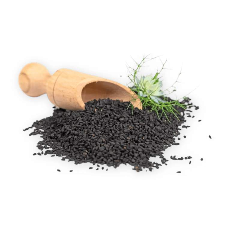 Nigella Seeds(Kalonji)